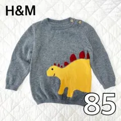H&M 恐竜　ニット　85程度