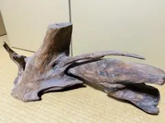 Item thumbnail for item 018a8593-c2e9-4076-92bb-f216983c64b6