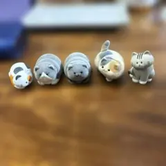 猫のフィギュア 5体セット