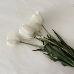 Item thumbnail for item db6e5488-b547-448f-88ab-650cd119c129