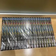 ロトの紋章 完全版 外伝付 全16巻セット 藤原カムイ - メルカリ