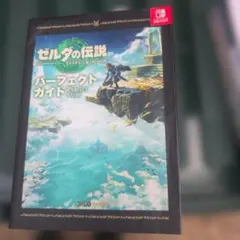 ゼルダの伝説 ティアーズ オブ ザ キングダム パーフェクトガイド