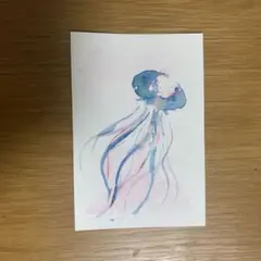 クラゲ　絵葉書　ポストカード 青色　深海生物