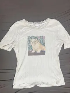 MOUSSY 猫プリント Tシャツ Fサイズ