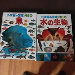 小学館の図鑑 NEO　2冊セット