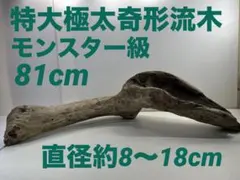 Item thumbnail for item f0fdfa45-0c0a-4842-8f4a-544ad63434eb