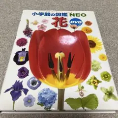 uk❤︎様 リクエスト 3点 まとめ商品