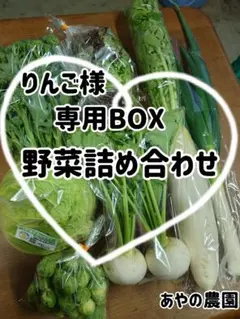 りんご様専用BOX