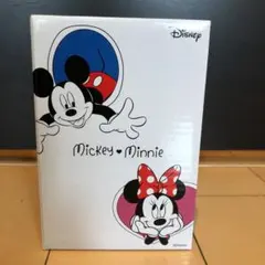 アート引っ越しセンター ミッキー&ミニー ステンレスミニボトル