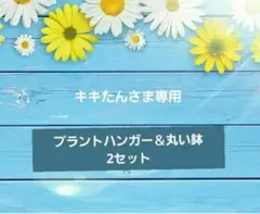 キキたんさま専用 プラントハンガー＆丸い鉢・2セット