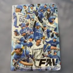 北海道日本ハムファイターズ　クリアファイル　ＦＡＶ限定のサムネイル