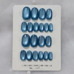 ゆんちゃんさま ブルー マグネット ネイルチップ