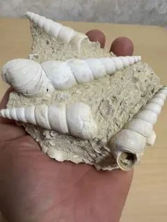 ハル様 リクエスト 2点 まとめ商品