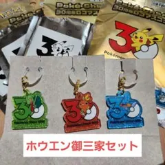 ポケモン 30周年 ロゴマスコット ポケチャーム ホウエン地方 御三家 めじるし