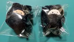 日本三國　くるみたぴぬい　賀来泰明　菅生強 値下げ不可