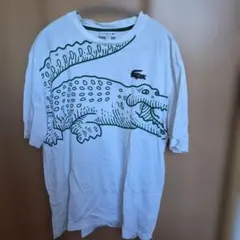 LACOSTE 半袖Tシャツ ホワイト Mサイズ