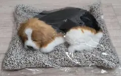 猫描様 リクエスト 2点 まとめ商品