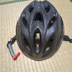 Item thumbnail for item e820d41a-b2bb-4714-9418-cad5fc52037d