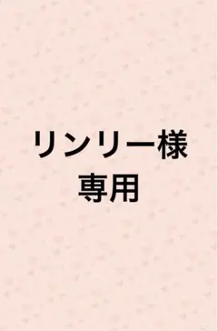 【専用】クロスステッチキット（モーニング美食）