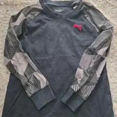 Item thumbnail for item a944e959-7df2-49ea-90d2-57f20d08e290