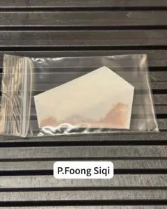 P. Fong Siqi 포자 사슴뿔 고사리