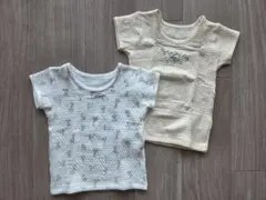 Item thumbnail for item 57bbb516-637a-4929-a2f1-15b25fff7aae