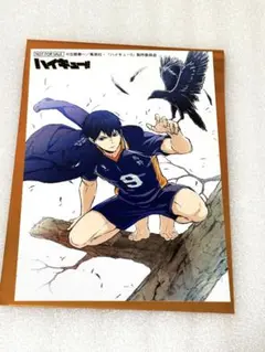 ジャンプフェスタ2026 ハイキュー 限定ブロマイド 影山 飛雄