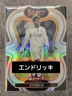 2026年最新】エンドリッキ カードの人気アイテム - メルカリ