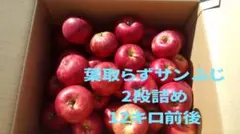 りんご 青森県産 葉とらずサンふじ　２段詰め　お買い得　大量　家庭用