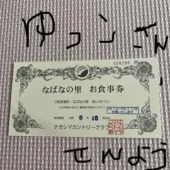 2026年最新】なばなの里 入村券 4枚の人気アイテム - メルカリ