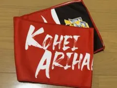 【HAWKS】応援タオル