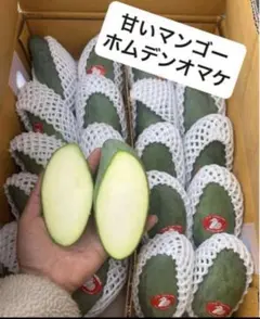 人気タイプ タイのグリーンマンゴー1kg約甘いタイプ。ホムデン5個