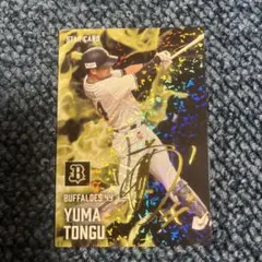 2025年最新】カルビープロ野球カードの人気アイテム - メルカリ