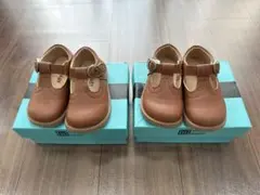 Item thumbnail for item 0186f379-9f7f-4201-b95c-8ab347865164