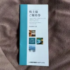 東急不動産ホールディングス　 500株　株主優待券