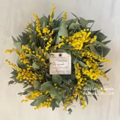 Item thumbnail for item 444ae751-0bfd-4f95-b2eb-41dd093116a1