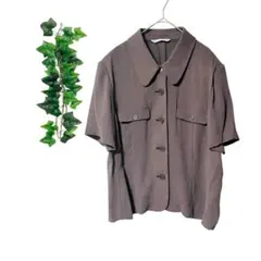 ［3XL］ トレントコルモラント ブラウス 肩パッド 透け感 大きいサイズ 茶のサムネイル