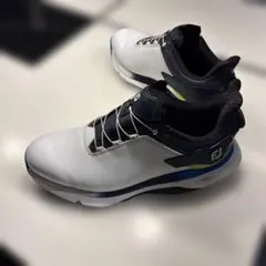 フットジョイ 25.5