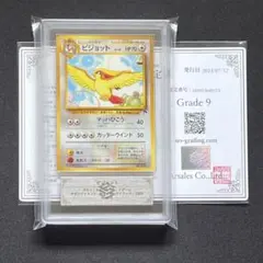 【ARS9】ポケモンカード　旧裏　ピジョット　サザンアイランド　鑑定書付