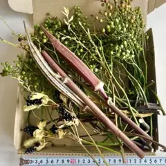 野バラの実 オクラ 石化柳 実セット 自然素材 ドライフラワー 花材 まとめ売り
