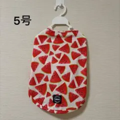 スイカ柄の夏服 犬服