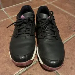 ゴルフシューズ！23.0 adidas！
