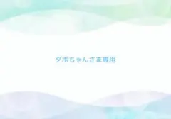 ダボちゃん様 リクエスト 2点 まとめ商品