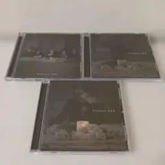 ヴィドール CD 2枚セット ヴィジュアル系 V系 - メルカリ