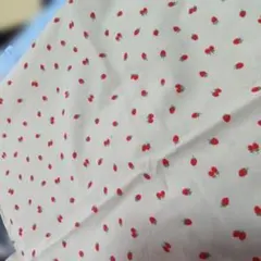 Item thumbnail for item fa396b3d-8e90-4c91-a2ab-82555828eb83