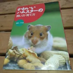 Item thumbnail for item c9641e5d-7bfb-4f92-a2d3-fdaecfb942c5