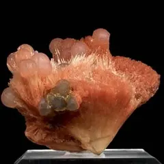 中国湖北省産 レッドカルサイトクラスター オレンジ結晶 炎の結晶美
