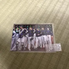 カルビープロ野球チップス　2017年　SJ-36