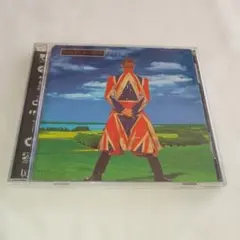 【帯付き】デヴィッド・ボウイ/アースリング