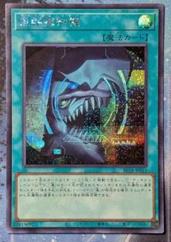 遊戯王 魚群探知機 シークレット ビヨンドザブレイブ